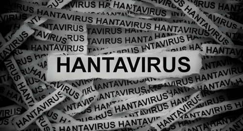 L'insidia silenziosa dei mari: il caso dell'Hantavirus sulla MV Hondius